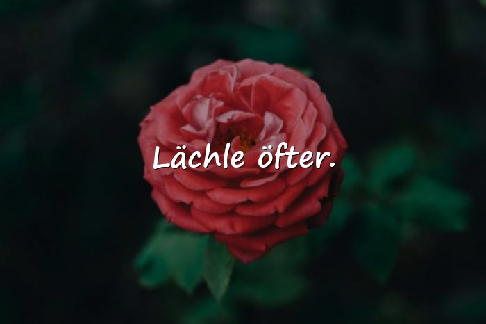 Bilder mit tolle sprüche - 14