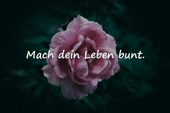 Bilder mit tolle sprüche - 12