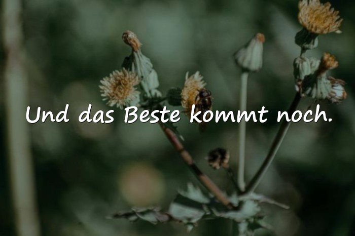 Bilder mit tolle sprüche - 8