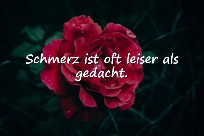 Bilder mit traurige sprüche - 12