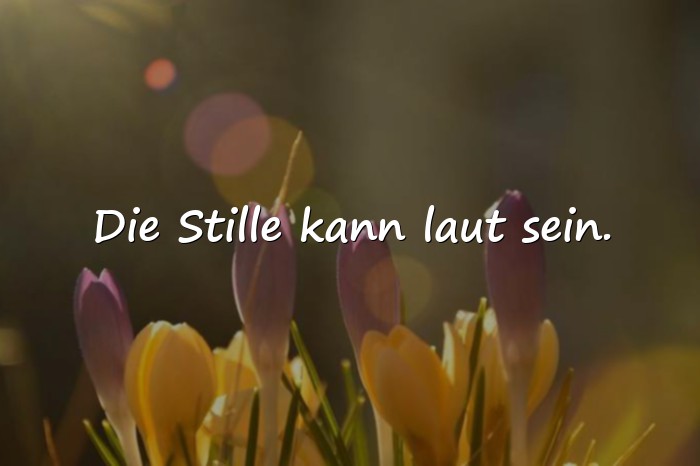 Bilder mit traurige sprüche - 19