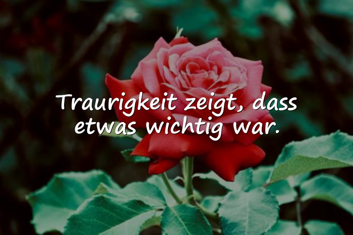 Bilder mit traurigkeit sprüche - 6
