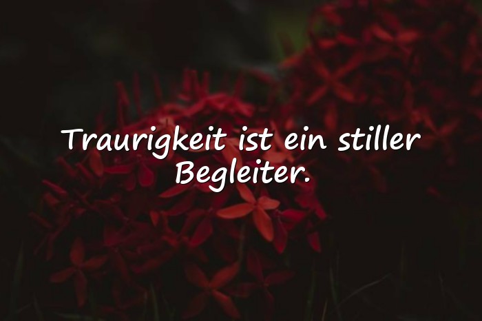 Bilder mit traurigkeit sprüche - 21