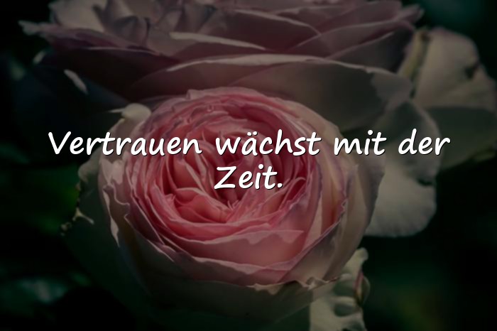 Bilder mit vertrauen sprüche - 22