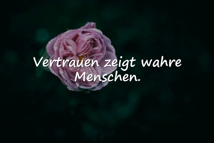 Bilder mit vertrauen sprüche - 18