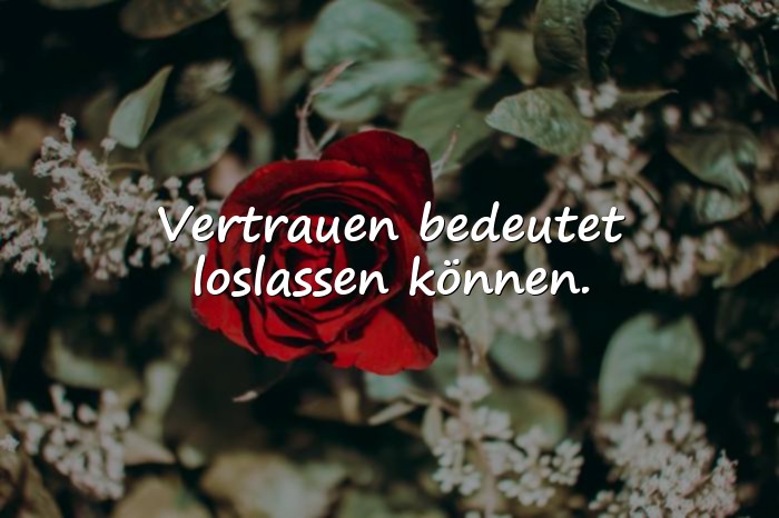 Bilder mit vertrauen sprüche - 14