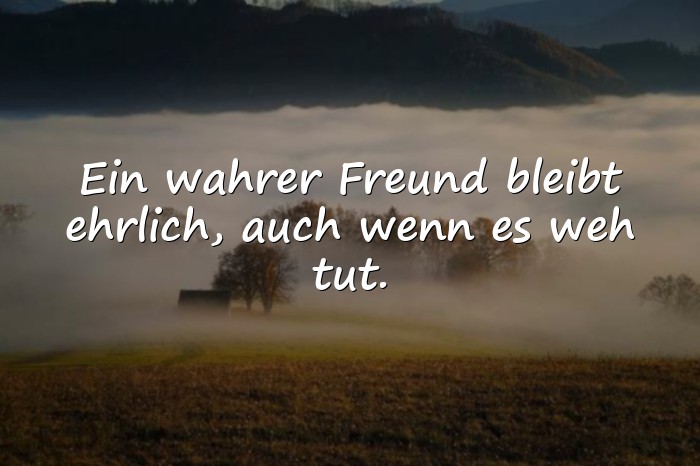 Bilder mit wahre freunde sprüche - 12