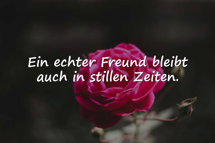 Bilder mit wahre freunde sprüche - 4