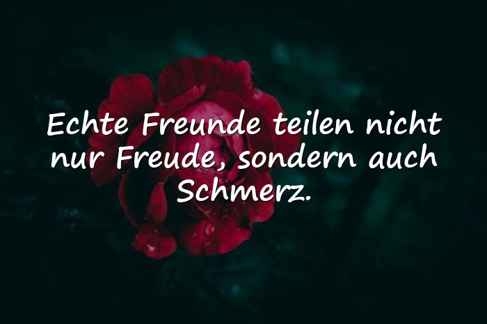 Bilder mit wahre freunde sprüche - 25