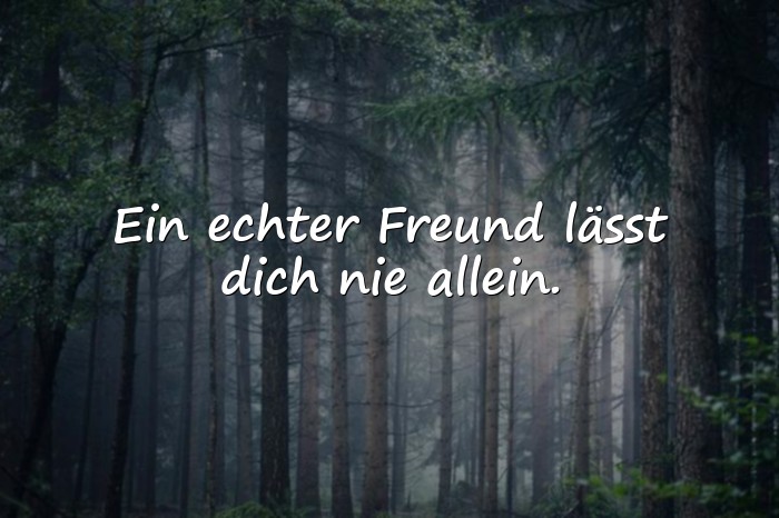 Bilder mit wahre freunde sprüche - 16
