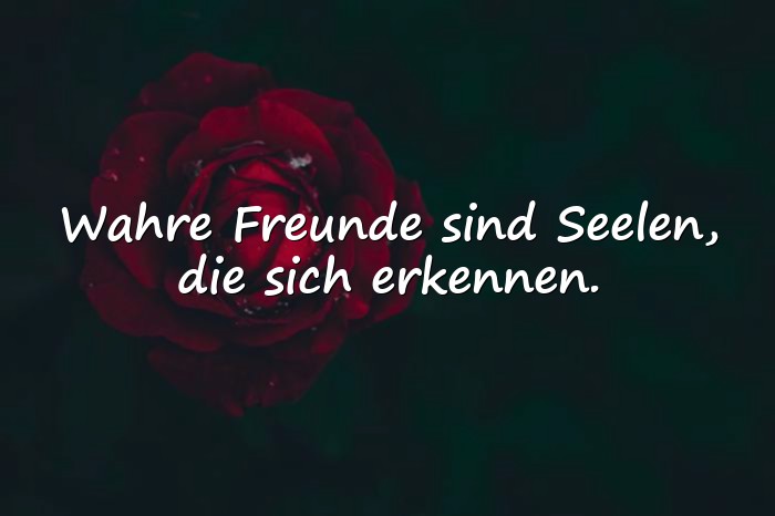 Bilder mit wahre freunde sprüche - 13
