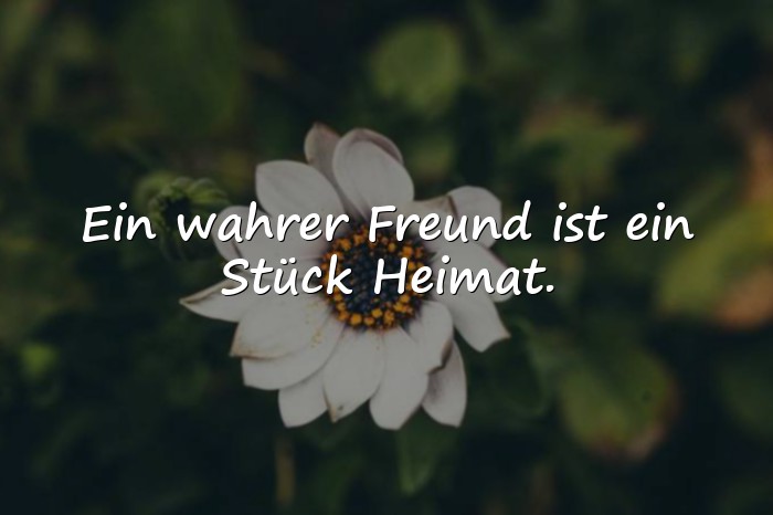 Bilder mit wahre freunde sprüche - 8