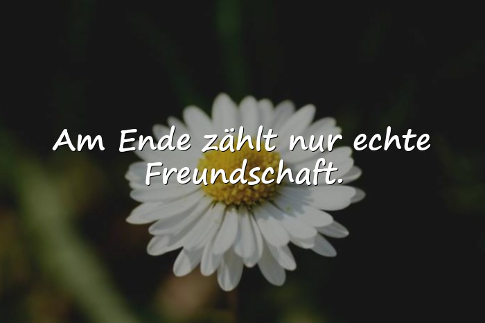 Bilder mit wahre freunde sprüche - 1