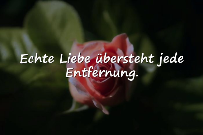 Bilder mit wahre liebe sprüche - 20
