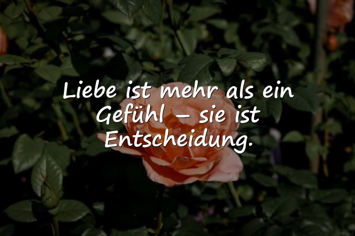 Bilder mit wahre liebe sprüche - 15