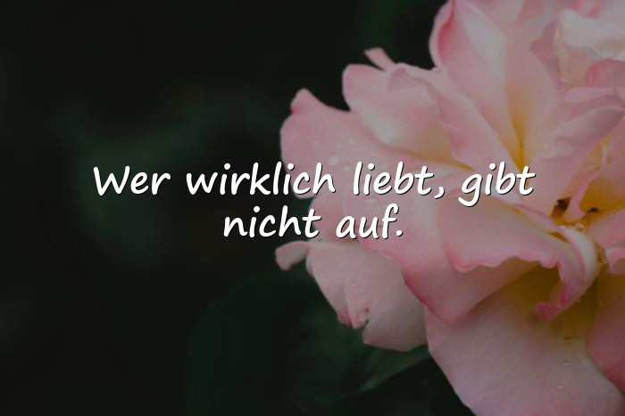 Bilder mit wahre liebe sprüche - 5