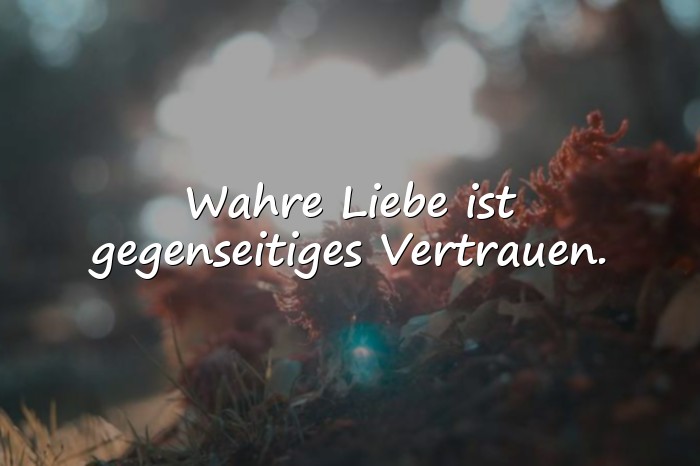 Bilder mit wahre liebe sprüche - 20