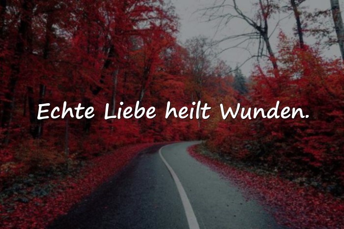 Bilder mit wahre liebe sprüche - 15