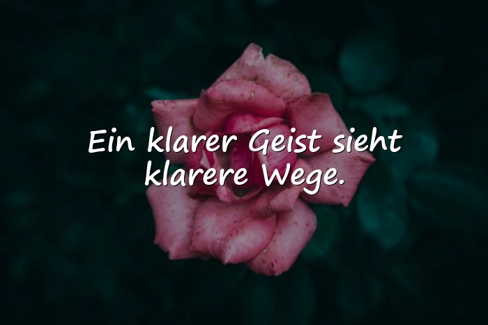 Bilder mit weise sprüche - 13
