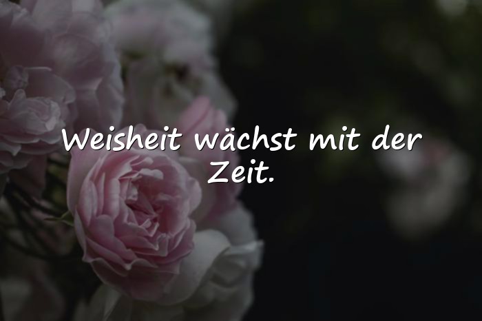 Bilder mit weise sprüche - 9