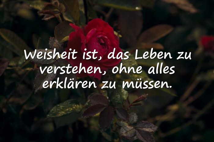 Bilder mit weise sprüche - 1