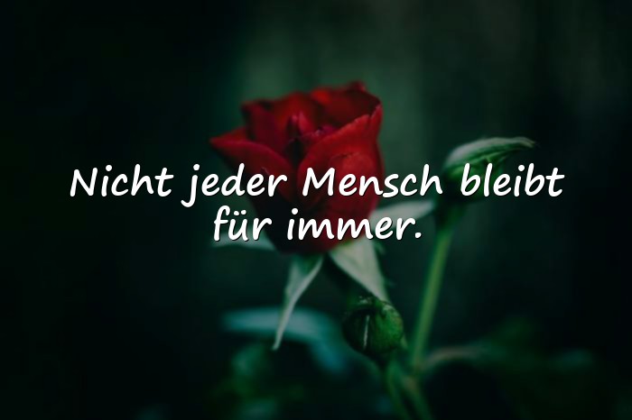Bilder mit weise sprüche zum nachdenken - 8