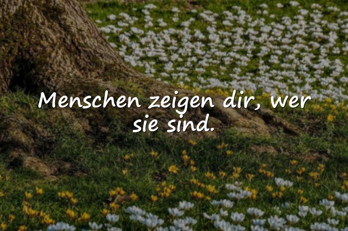 Bilder mit weise sprüche zum nachdenken - 19