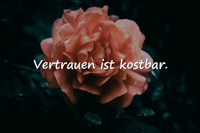 Bilder mit weise sprüche zum nachdenken - 12
