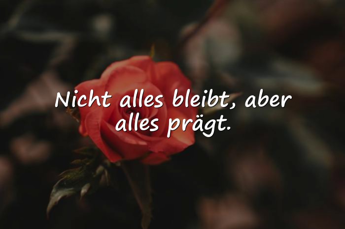 Bilder mit weise sprüche zum nachdenken - 9
