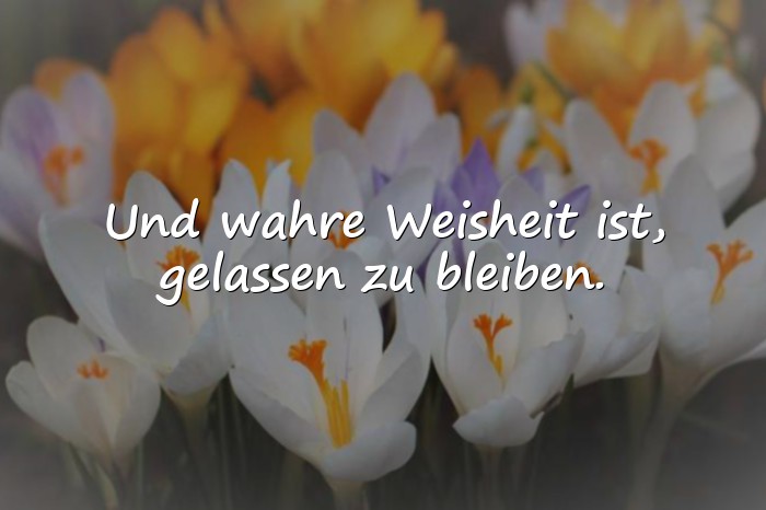 Bilder mit weise sprüche zum nachdenken - 1