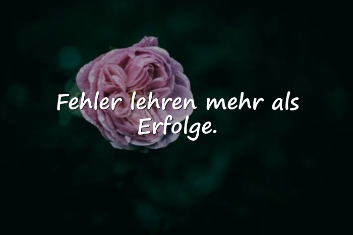 Bilder mit weisheits sprüche - 3