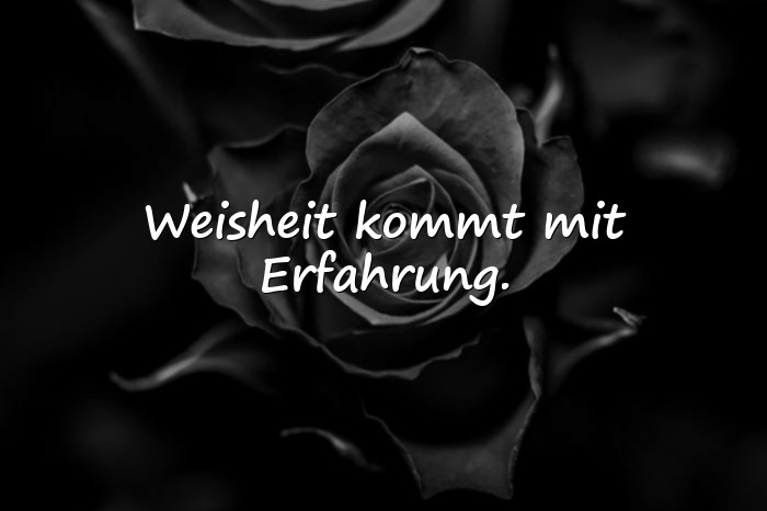Bilder mit weisheits sprüche - 1