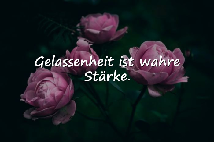 Bilder mit weisheits sprüche - 17