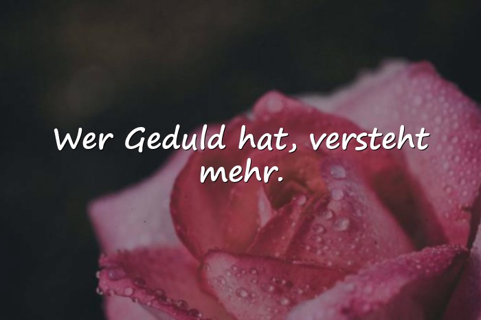 Bilder mit weisheits sprüche - 12
