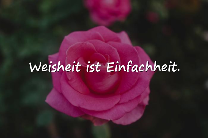 Bilder mit weisheits sprüche - 8