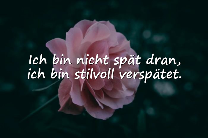 Bilder mit witzige sprüche - 18