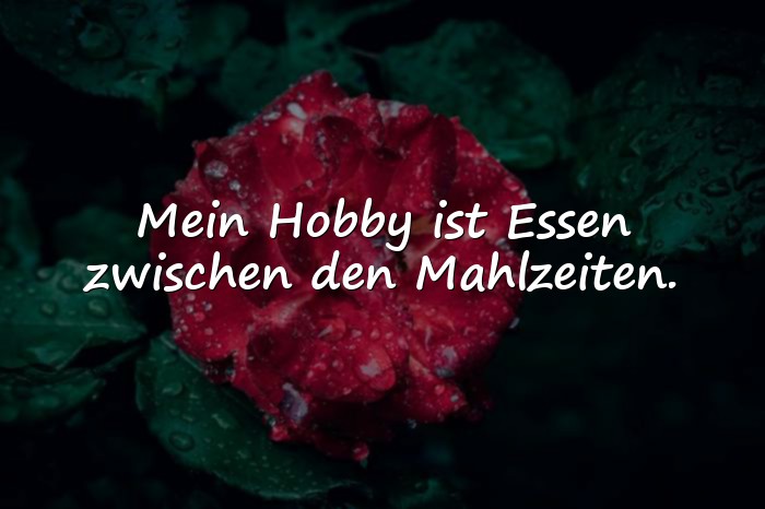Bilder mit witzige sprüche - 14