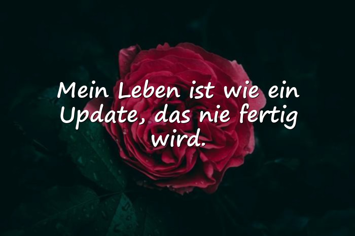 Bilder mit witzige sprüche - 4