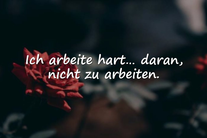 Bilder mit witzige sprüche - 24