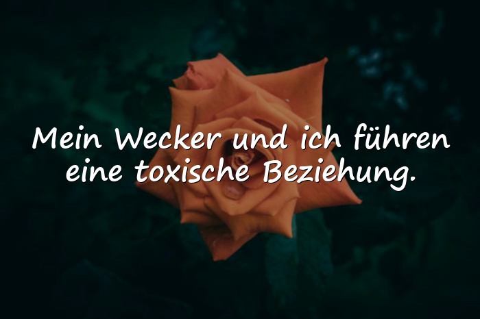 Bilder mit witzige sprüche - 9