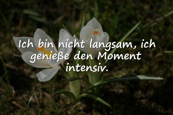 Bilder mit witzige sprüche - 5