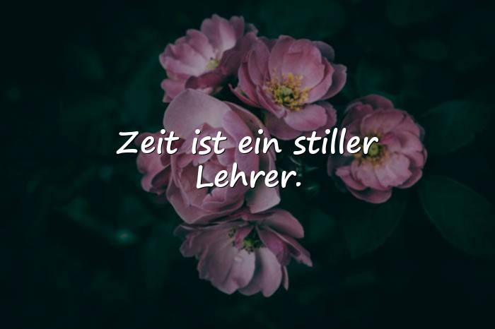 Bilder mit zeit sprüche - 3