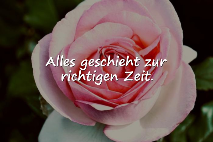 Bilder mit zeit sprüche - 25
