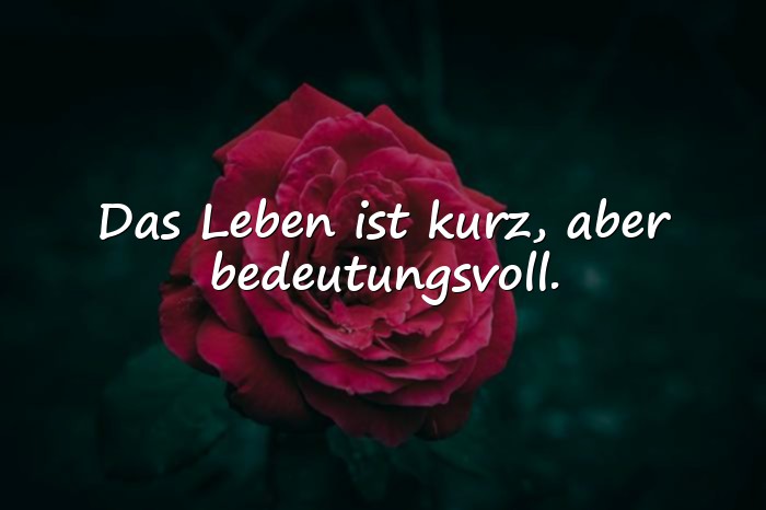Bilder mit zitat leben - 3