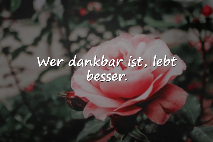 Bilder mit zitat leben - 12