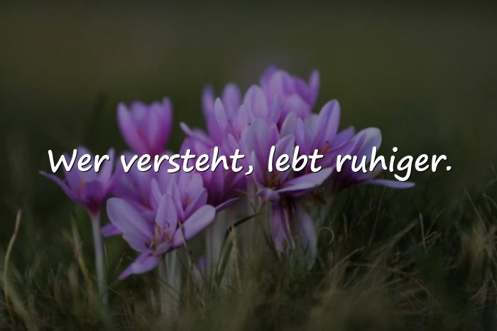Bilder mit zitat leben - 5