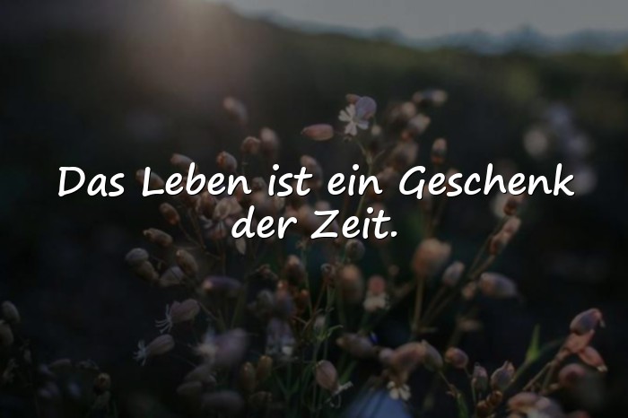 Bilder mit zitat leben - 3