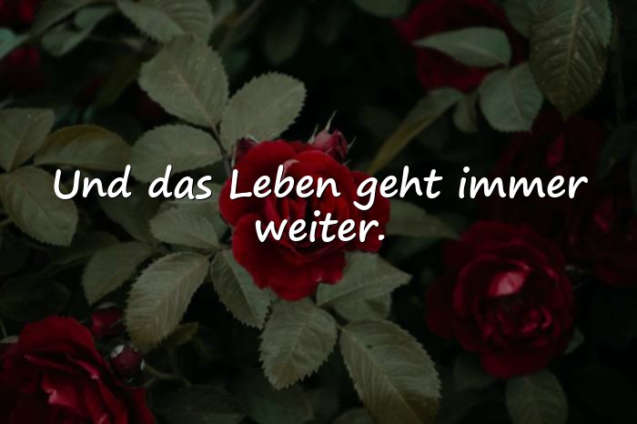 Bilder mit zitat leben - 1