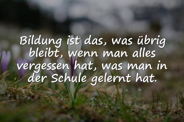 Bilder mit zitate albert einstein - 16