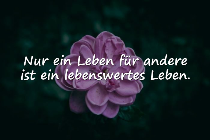 Bilder mit zitate albert einstein - 6